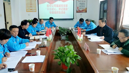 向宇飛列席指導(dǎo)股份公司氯堿黨支部“不忘初心、牢記使命”專題組織生活會(huì)(圖1)