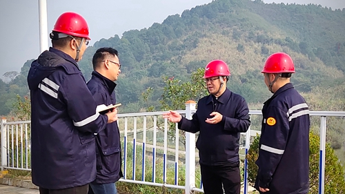 王大真到松滋肥業(yè)、楚星公司、新材料公司和股份公司現(xiàn)場調(diào)研(圖1)