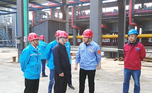 王大真到松滋肥業(yè)、楚星公司、新材料公司和股份公司現(xiàn)場調(diào)研(圖2)