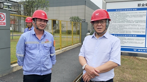 王大真一行到松滋肥業(yè)和宜昌區(qū)域分子公司檢查調研(圖3)