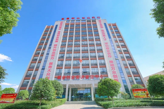 湖北省第一批“荊楚工匠學(xué)院”！宜化職業(yè)培訓(xùn)中心獲授牌(圖2)