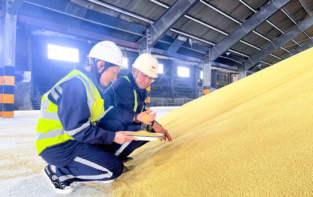 股份公司：精準(zhǔn)施策促提升，全力奪取“開門紅”(圖4)