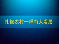 在家能做的兼職正規(guī)可靠，扎根農(nóng)村一樣有大發(fā)展