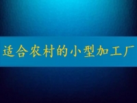 適合農(nóng)村的小型加工廠，月入2萬不算多，你有時(shí)間也能做