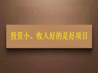 投資這么小，為什么收入?yún)s能這樣好？這個(gè)拿回家做的手工項(xiàng)目給出了答案