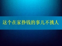 這個在家掙錢的事兒不挑人，2024要掙錢，你我就靠它了