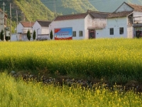 適合農(nóng)村個(gè)人在家創(chuàng)業(yè)的項(xiàng)目，好做的純手工有兩份收入