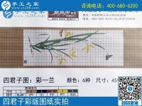 手工之家雅薇麗珠繡圖紙展示：一學(xué)就會(huì)，一看就懂的手工活！