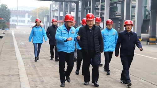 袁衛(wèi)東到股份、楚星和新項目現(xiàn)場調(diào)研