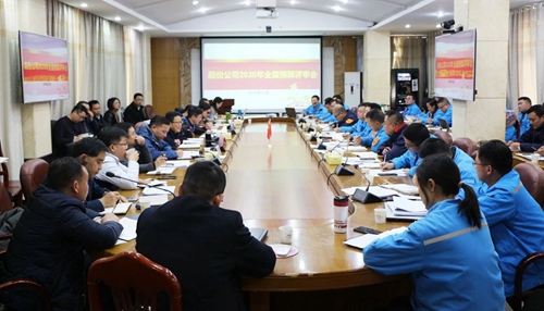 王大真調(diào)研指導(dǎo)股份公司、化機(jī)公司和TMP新項目2020年財務(wù)預(yù)算工作