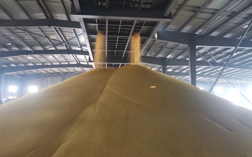 新年新氣象！楚星公司黃色磷酸二銨產(chǎn)品成功下線